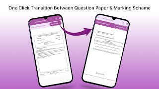 एक लेवल पास्ट पेपर्स सॉल्यूशन स्क्रीनशॉट 3