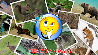 برنامه‌نما Animals for Kids عکس از صفحه