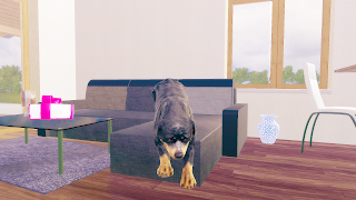 Rottweiler Dog Simulator ภาพหน้าจอ 7