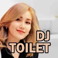 DJ Toilet