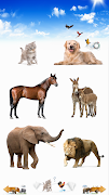 Animal Sounds poster
