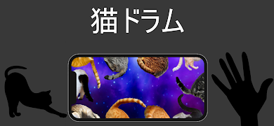 cat drum poster