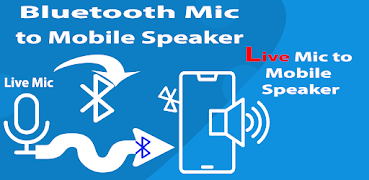 Bluetooth Mic to Mobile Speakr screenshot 3