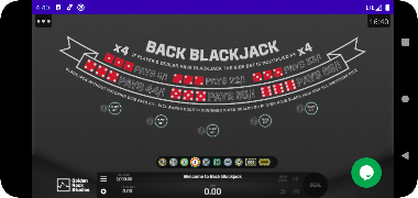 Back Blackjack capture d'écran 5