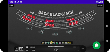 Back Blackjack Ekran Görüntüsü 5