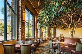 OutDoor Cafe Design স্ক্রিনশট 2