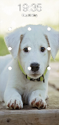 skrin kunci corak anjing syot layar 4