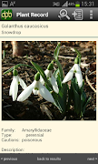 Plant Base capture d'écran 2