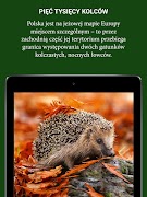 Echa Leśne screenshot 6