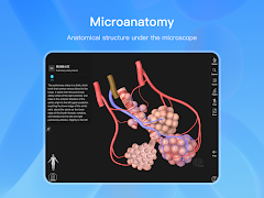 Anatomymaster 스크린샷 6