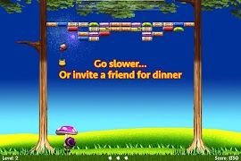 Crazy Toad Screenshot 5