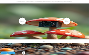 Mushroom ID Screenshot 3