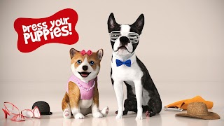 Dog Simulator 截圖 5