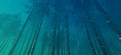 Evivve: Game-Based Learning capture d'écran 7