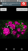 Flower Images ภาพหน้าจอ 1
