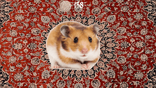 برنامه‌نما Hamster عکس از صفحه
