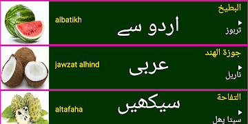 Learn Arabic From Urdu Plakat