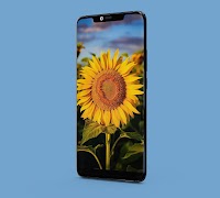 Sunflower Wallpapers screenshot 3