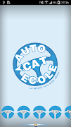 Poster Auto Ecole Cat
