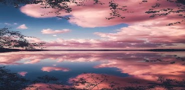 خلفيات موبايل 2021 بدون نت plakat