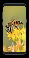 3 Schermata Nature wallpapers and backgrounds