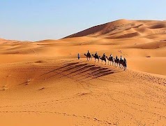 Desert Wallpapers ภาพหน้าจอ 4