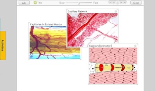Circulation capture d'écran 3