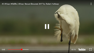 Sample Video Playing Poster
