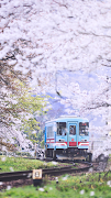 Train Wallpaper تصوير الشاشة 6