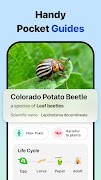 Picture Insect: Bug Identifier screenshot 4