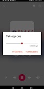 برنامهنما Русские Радиостанции Шансон عکس از صفحه