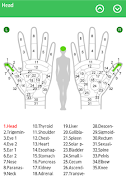 Hand Chart  / for Reflexology Poster