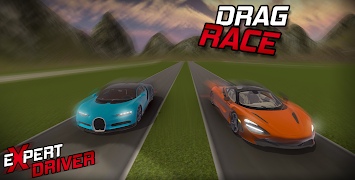 Expert Driver - Open World Dri 스크린샷 6