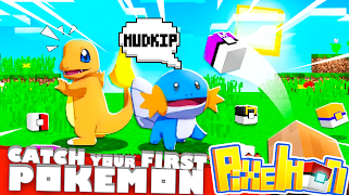 Pixelmon Mods captura de pantalla 2