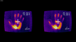 DiveFLIR capture d'écran 2
