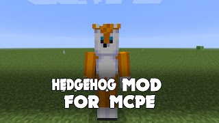 Hedgehog Mod for Minecraft PE screenshot 6