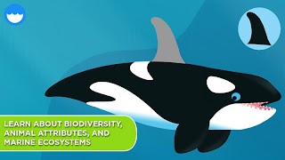 MarcoPolo Ocean screenshot 5