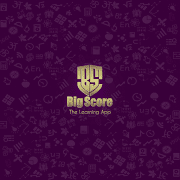 Big Score 스크린샷 4