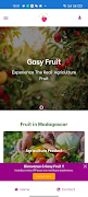 Gasy Fruit screenshot 6