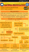 Bacteria Identification Made E syot layar 6