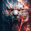 Tiger Wallpaper HD 4K icon