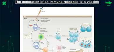 Adaptive Immunity 스크린샷 1