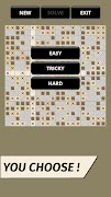 Random Nonogram Puzzle screenshot 4
