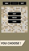 Random Nonogram Puzzle ภาพหน้าจอ 4