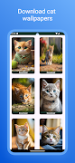 Cat Wallpaper اسکرین شاٹ 5
