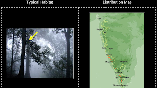 برنامه‌نما Frog Find عکس از صفحه