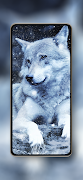 Wolf Wallpapers HD 4k screenshot 2