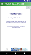 Holy Bible poster