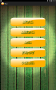 Flags screenshot 2