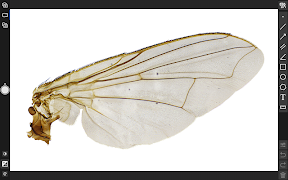 ToupView স্ক্রিনশট 2